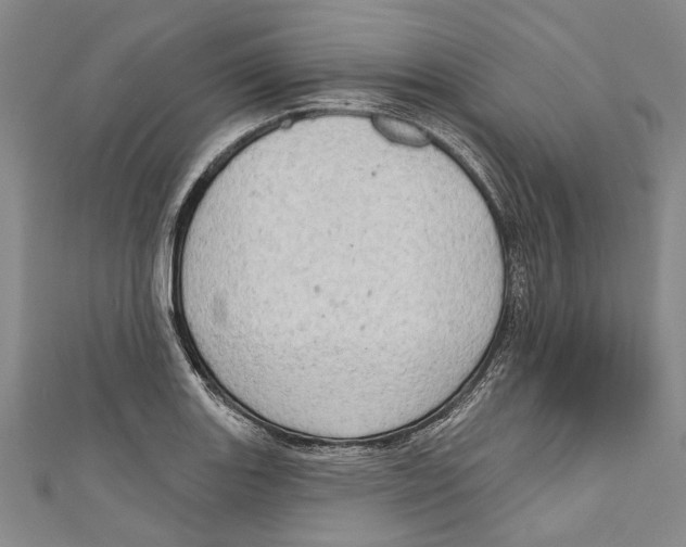 X0000111181131200907221043