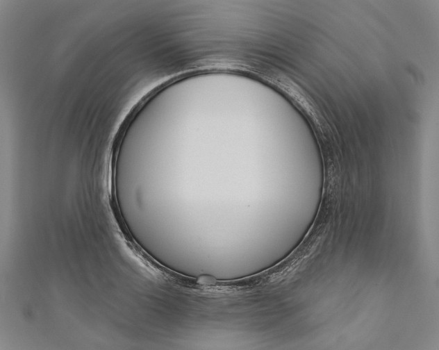 X0000111181132200907221043