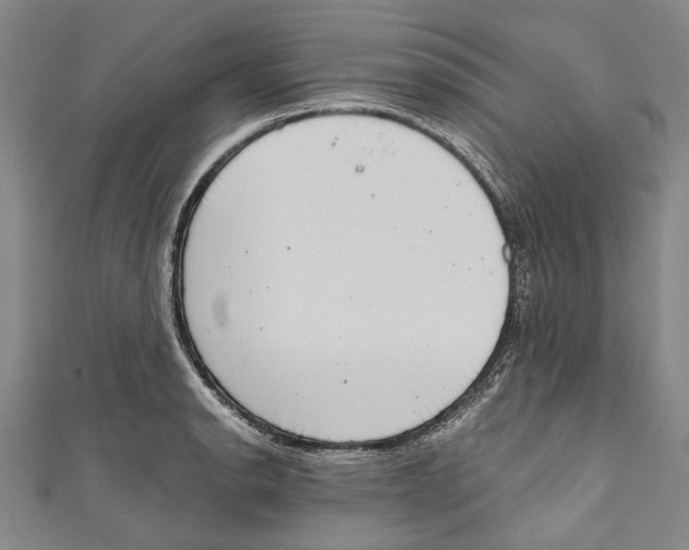 X0000111181134200907221043