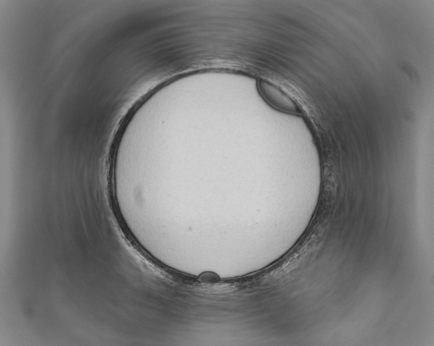 X0000111181135200907221043