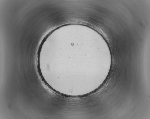 X0000111181136200907221043