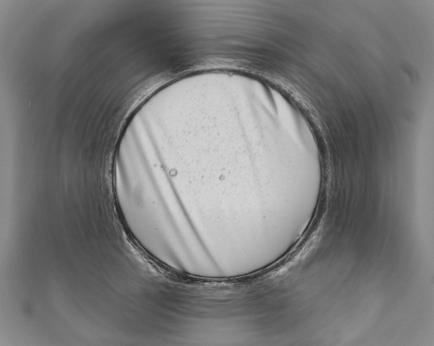 X0000111181137200907221043