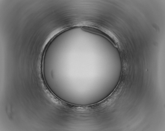 X0000111181138200907221043