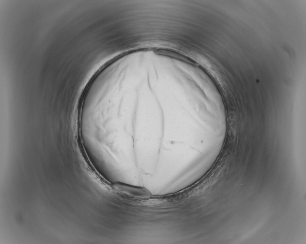 X0000111181140200907221043