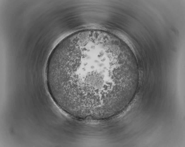 X0000111181141200907221043