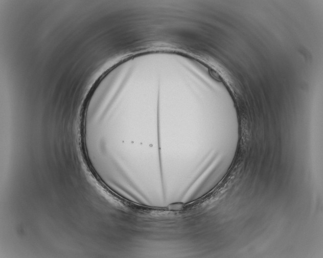 X0000111181142200907221043