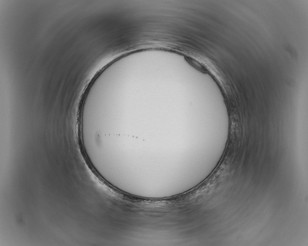 X0000111181143200907221043