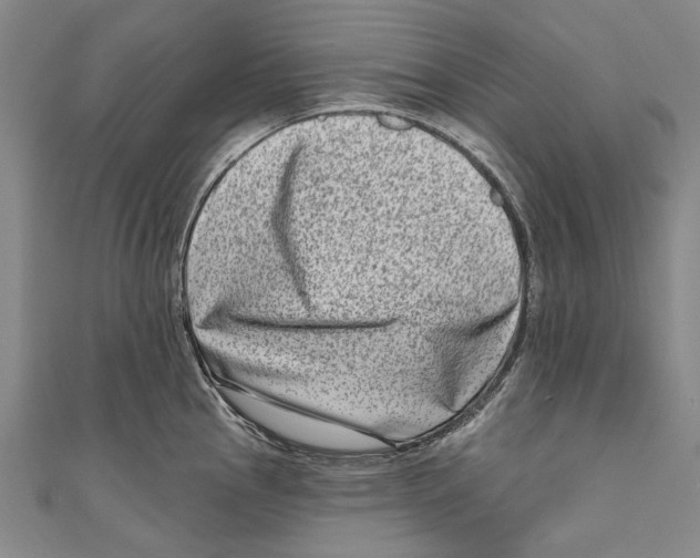 X0000111181145200907221043