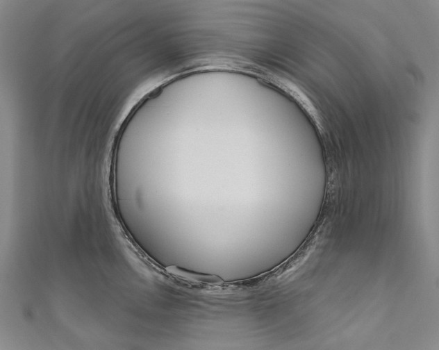 X0000111181146200907221043