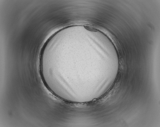 X0000111181147200907221043