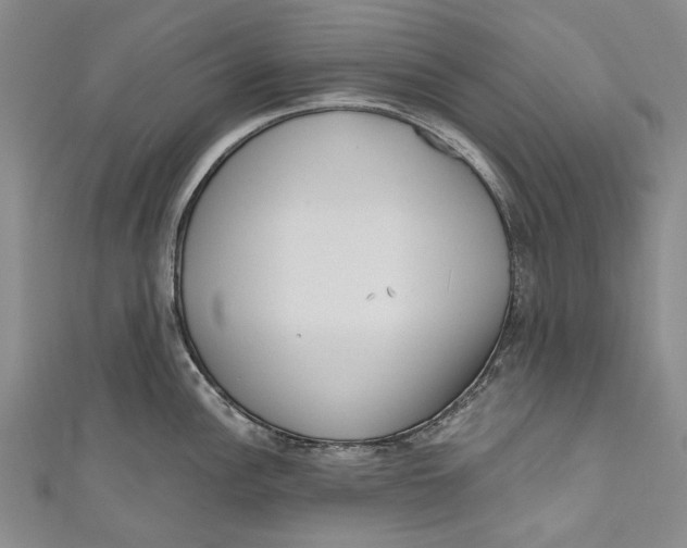 X0000111181148200907221043