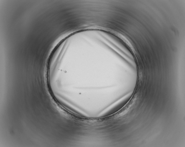 X0000111181149200907221043