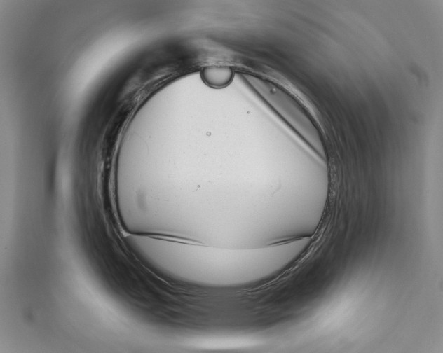 X0000111181151200907221043