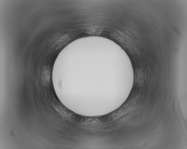 X0000111181154200907221042