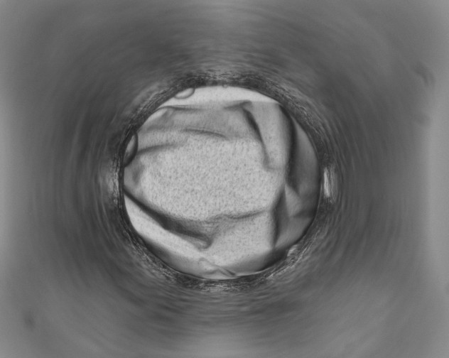 X0000111181155200907221042