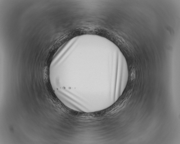 X0000111181156200907221042