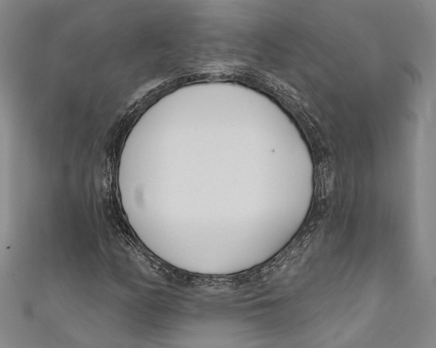 X0000111181158200907221042