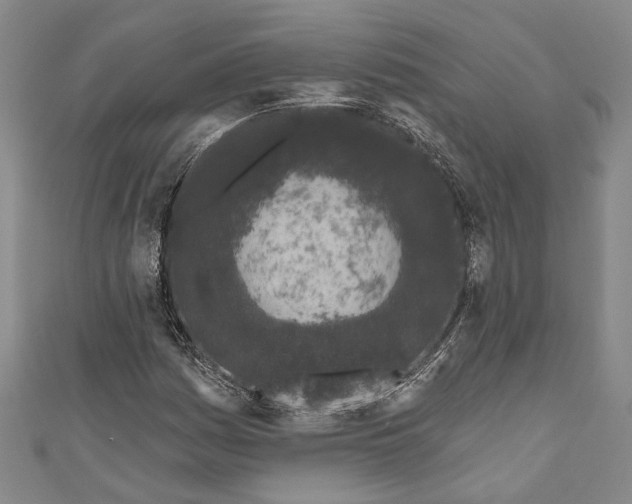 X0000111181161200907221042