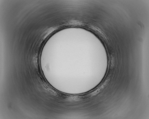 X0000111181162200907221042