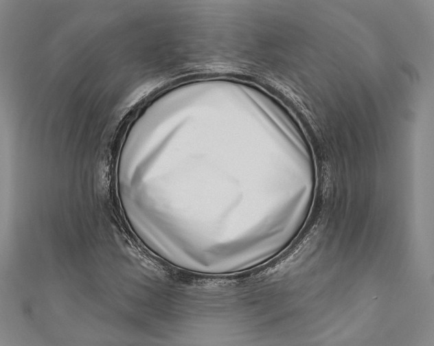 X0000111181163200907221042