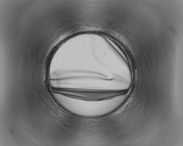 X0000111181165200907221042