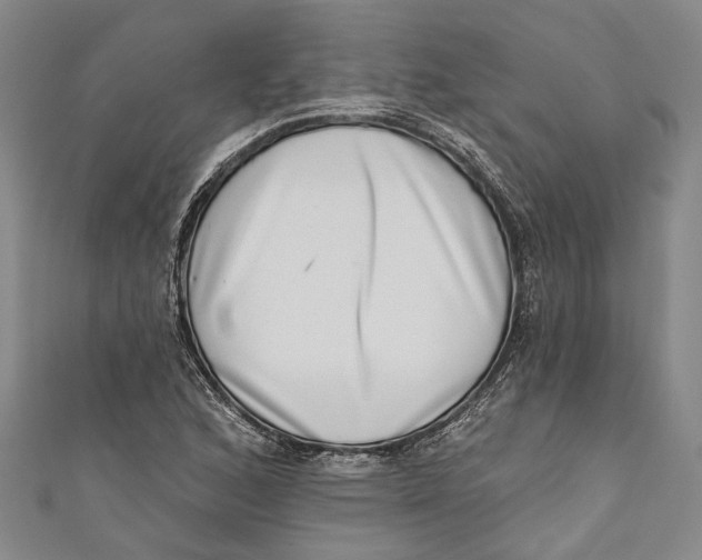 X0000111181168200907221042