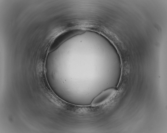 X0000111181169200907221042