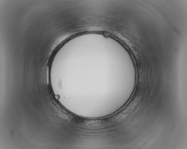 X0000111181171200907221042