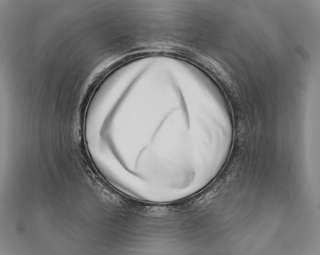 X0000111181172200907221042