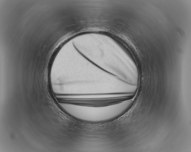 X0000111181173200907221042