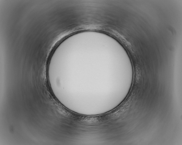 X0000111181174200907221042