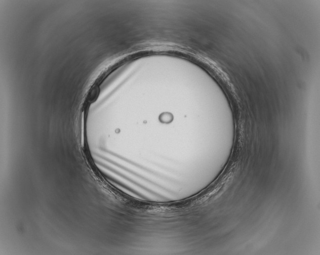 X0000111181175200907221042