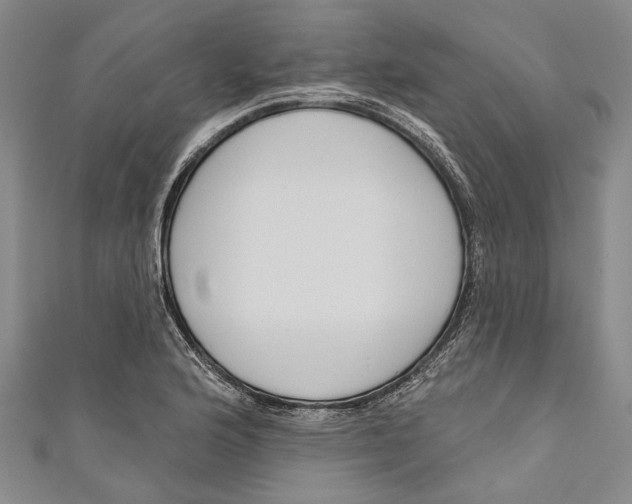 X0000111181176200907221042