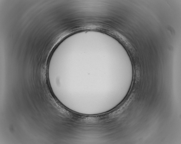 X0000111181178200907221042