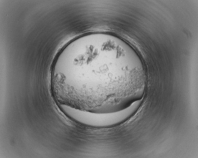 X0000111181179200907221042