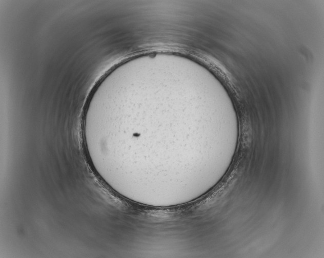 X0000111181182200907221042