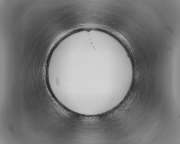 X0000111181183200907221042