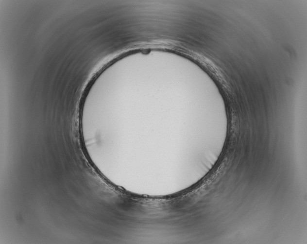 X0000111181184200907221042