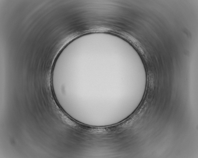 X0000111181186200907221042