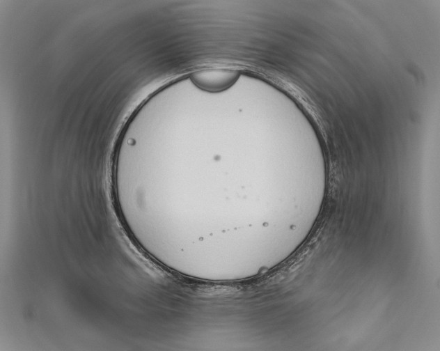 X0000111181187200907221042