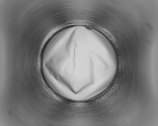 X0000111181188200907221042