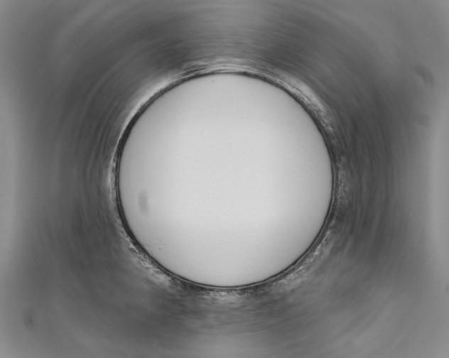 X0000111181190200907221042