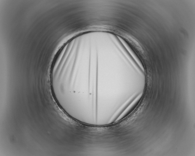 X0000111181192200907221042