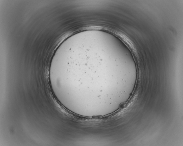 X0000111181193200907221042