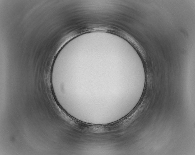 X0000111181194200907221042