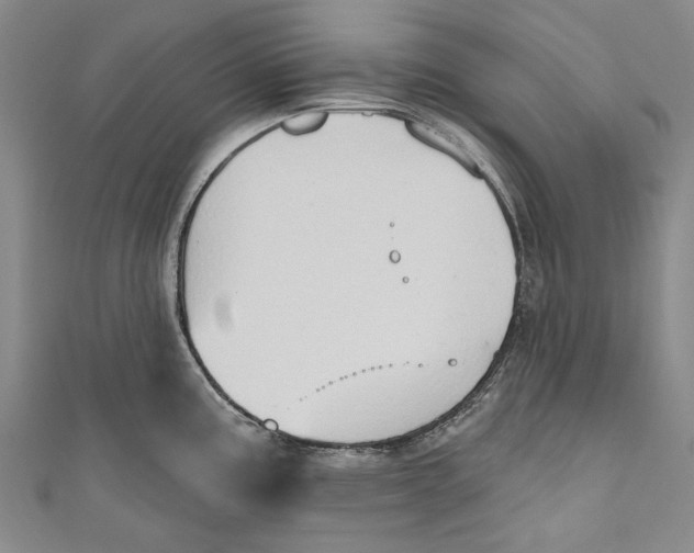 X0000111181195200907221042