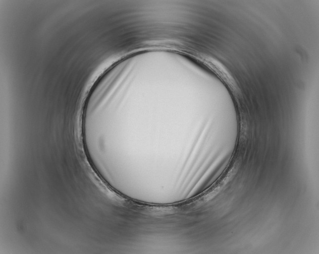 X0000111181196200907221042