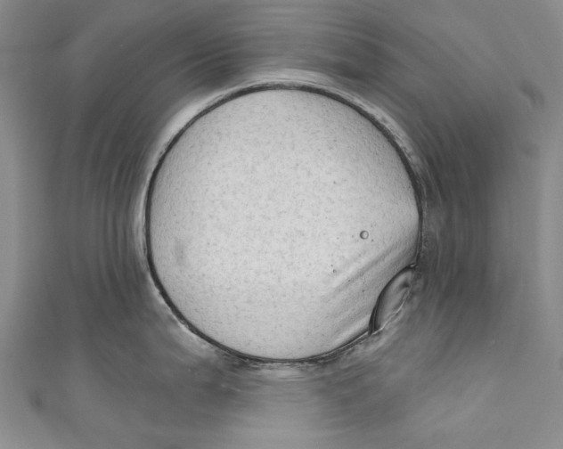 X0000111181199200907221042