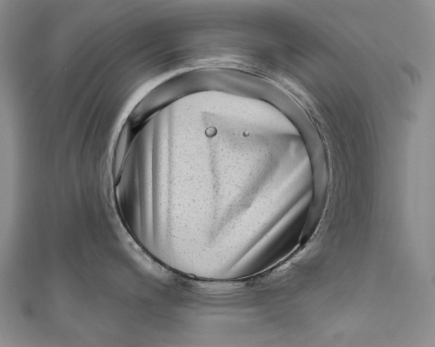 X0000111181200200907221042