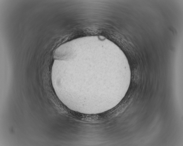 X0000111181201200907221041